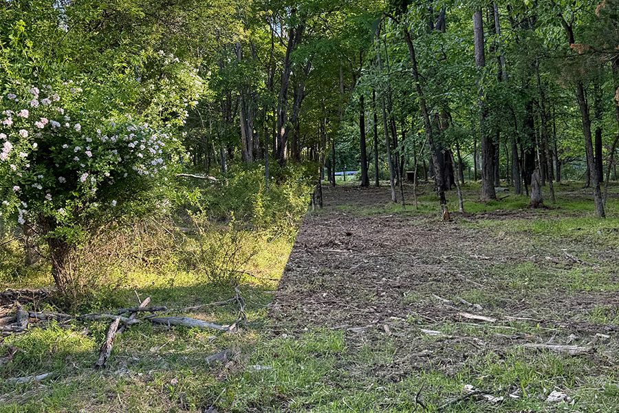 Lot Clearing